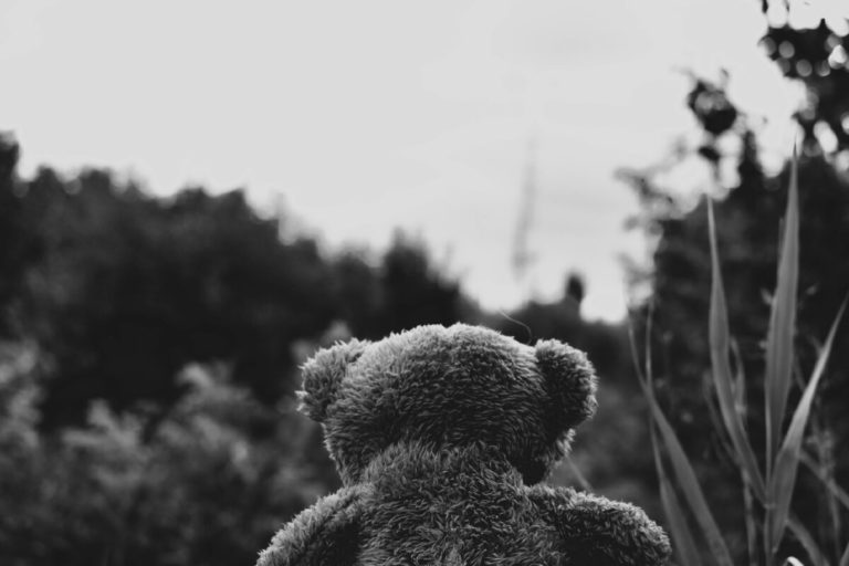 После убийства двухлетней девочки, депутаты предлагают изменения в закон: «Жизнь ребенка могла быть спасена, если бы у нас был защитный механизм»