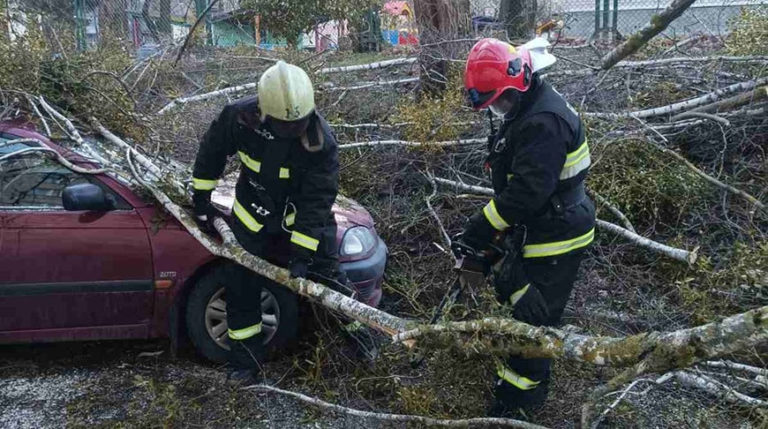 В Беларуси из-за урагана пострадали 458 населенных пунктов, повреждены десятки машин