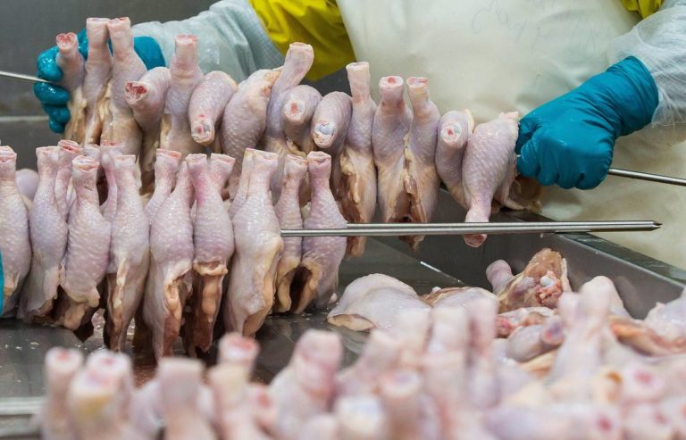 Россия запретила ввоз птицеводческой продукции из Молдовы
