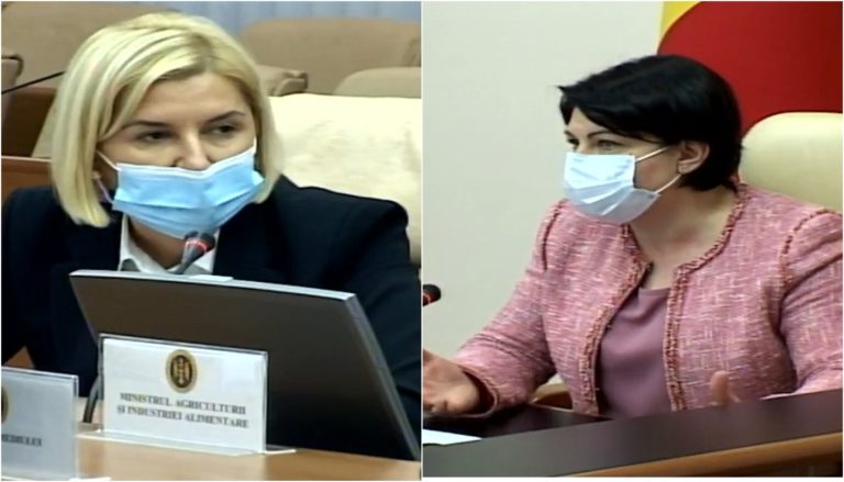 Влах сообщила о долгах за газ детсадов и школ Гагаузии. Реакция премьер-министра