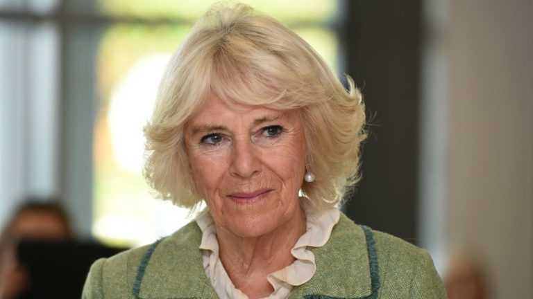 В Британии королева Елизавета на 70-летие своего правления дарует титул королевы жене принца Чарльза