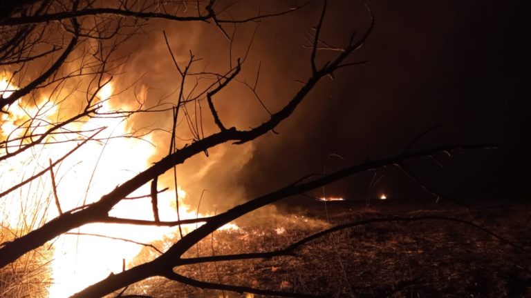 (ФОТО и ВИДЕО) В заповеднике Prutul de Jos на юге Молдовы вспыхнул пожар: пограничники доставили пожарных на лодках