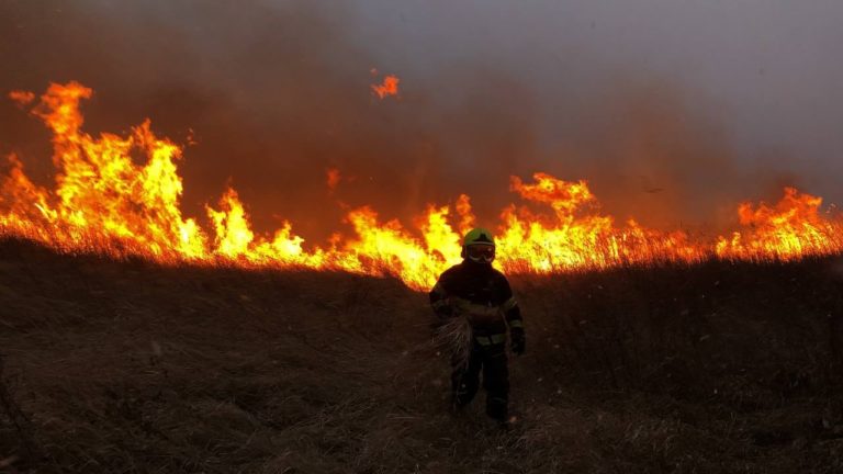 Риск возникновения пожаров всё ещё высок — в Молдове продлили желтый код до 10 июня
