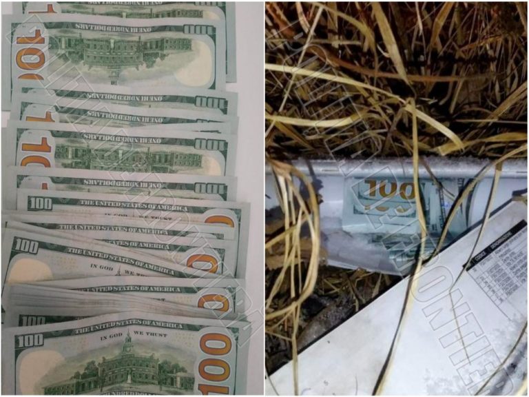 3000 долларов за нелегальный переход с Украины: пограничники задержали проводников и нарушителя