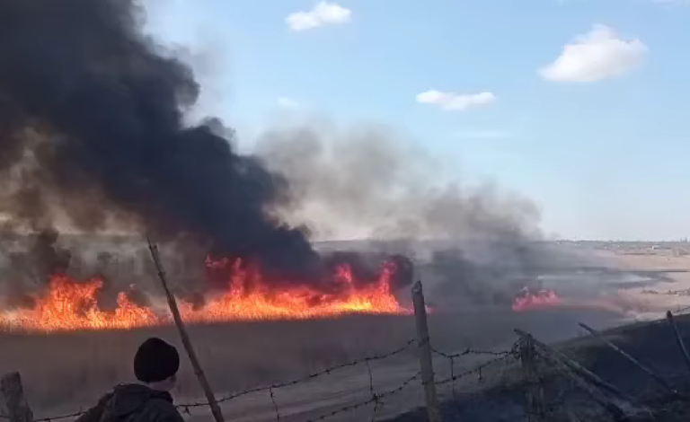 (ВИДЕО) Пожар в природном заповеднике Moara Domnească: огонь уничтожил 40 га леса и еще 60 га камыша
