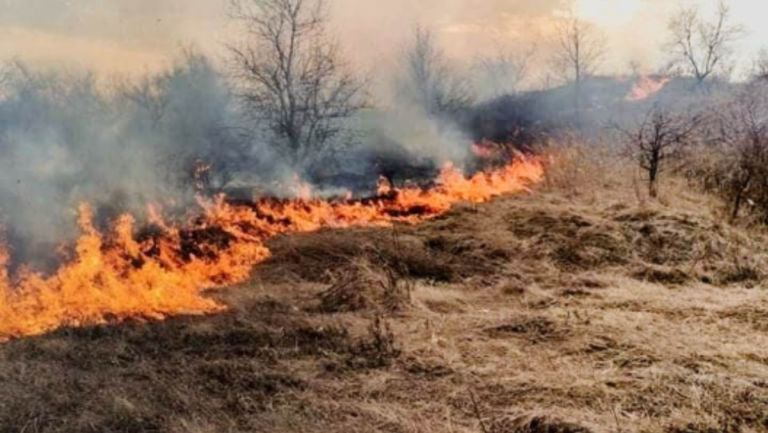 Более 670 растительных пожаров произошло в Молдове с начала этого года. За поджог предусмотрены высокие штрафы