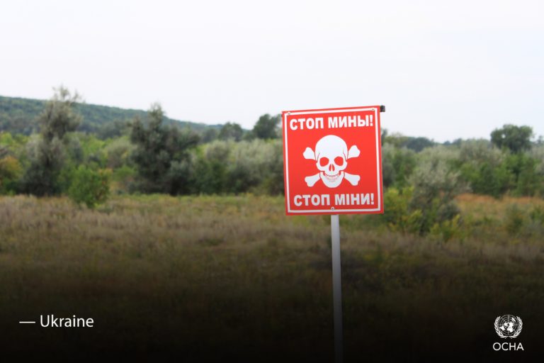 Почти 30% полей Украины не используют в этом году. Это может вызвать глобальную продовольственную катастрофу
