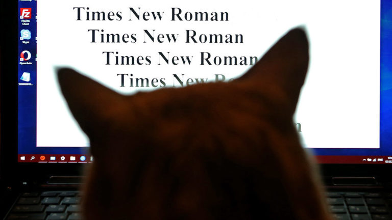Россиянам стали недоступны популярные шрифты Times New Roman и Arial
