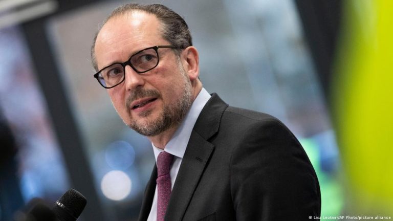 МИД Австрии: Украина и Молдова должны получить более ранний доступ к части общего рынка ЕС