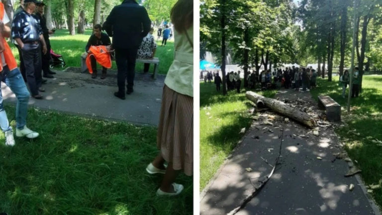 В деле о гибели ребенка в столичном парке Alunelul появился подозреваемый