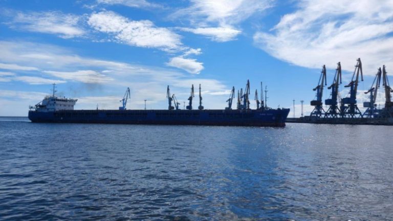 Посол Украины: Турция задержала российское судно с украинским зерном