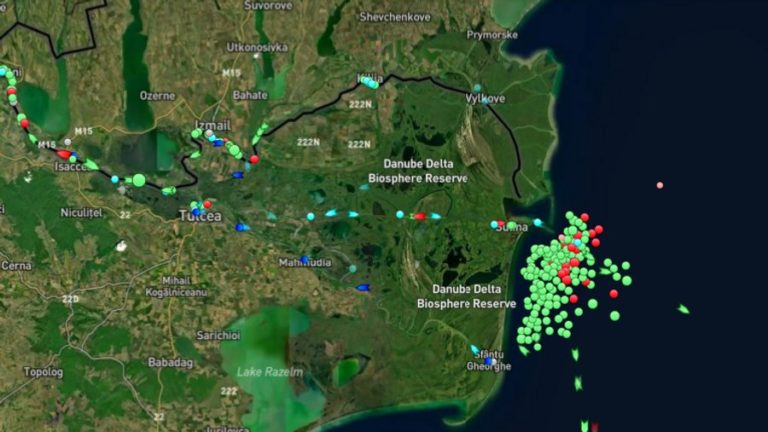 В дельте Дуная в Черном море образовалась пробка из судов, загруженных украинским зерном