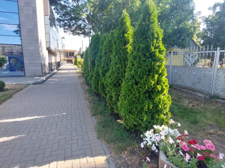 В Комрате построят общественный туалет
