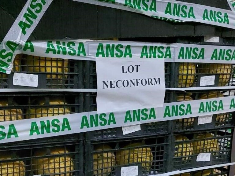 Из продажи в Молдове изъяли партию дынь с превышением уровня нитратов