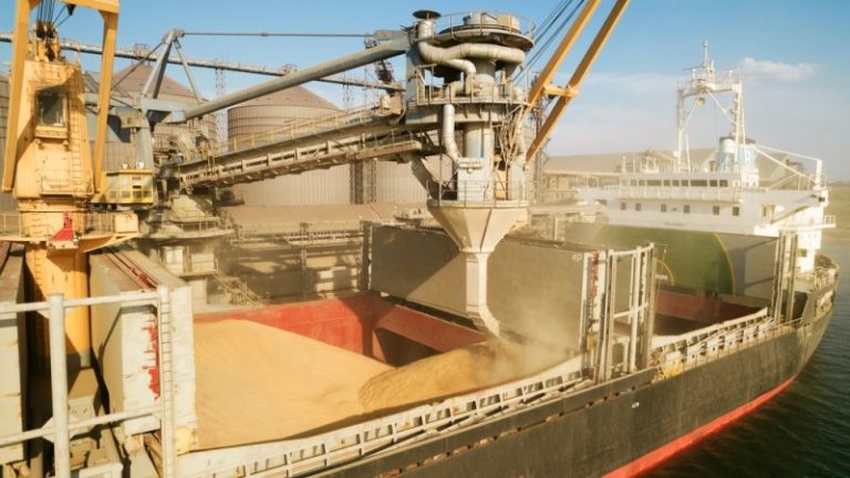 Еще два судна с зерном покинули украинские порты