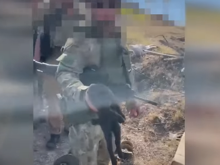 (ВИДЕО) Украинские военные нашли на острове Змеиный оружие и кота