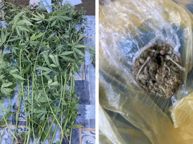 В Кагульском районе обыскали нарколабораторию: изъято оружие и марихуана