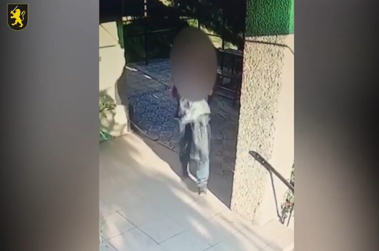 В Ниспоренском районе задержали ограбившего 74-летнюю пенсионерку на 11 500 леев