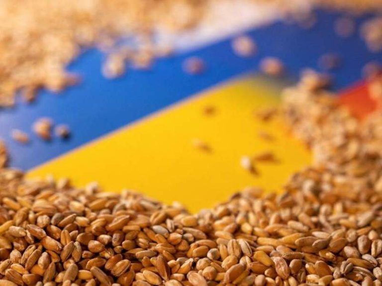 Россия возобновляет участие в черноморской зерновой сделке