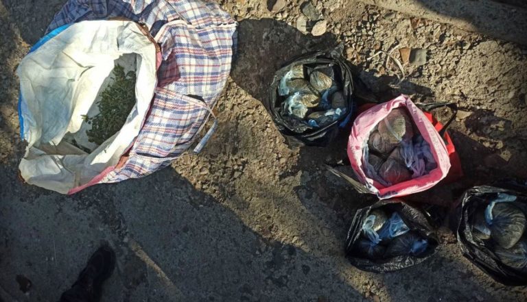 В Чок-Майдане выращивали марихуану, изъято «товара» на сумму более миллиона леев