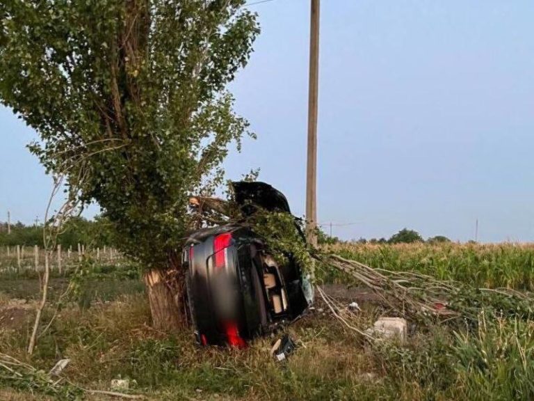 (ФОТО) ДТП во Флорештском районе: водитель на BMW влетел в дерево и погиб