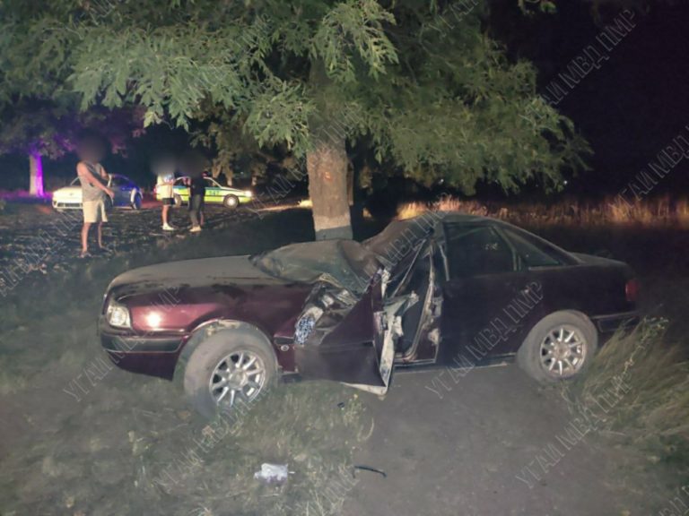 (ФОТО) В Приднестровье 18-летний водитель на «Ауди» врезался в дерево