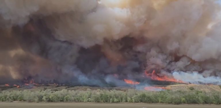 (ВИДЕО) В Луганской области бушует крупный пожар