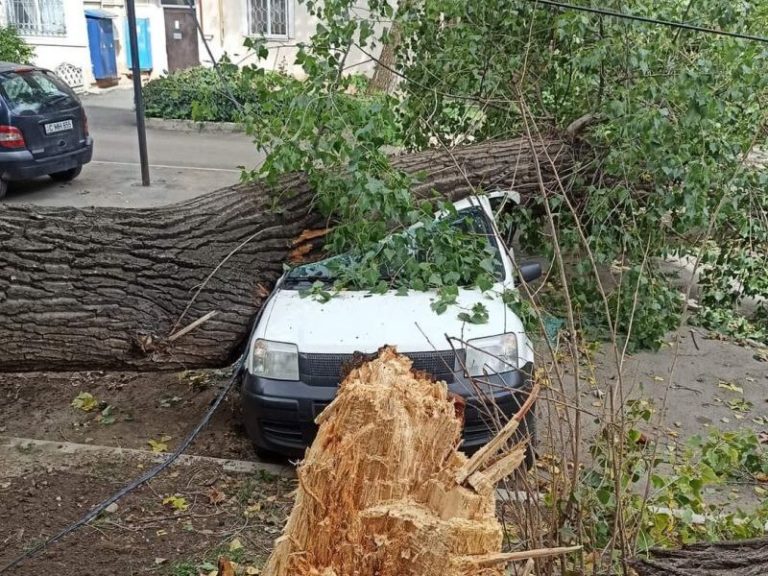 (ФОТО) В Кишинёве из-за сильного ветра  упали деревья и придавили машины