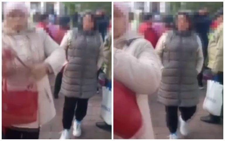 (ВИДЕО) В «Городке перемен» Шора протестующая напала на сотрудницу полиции