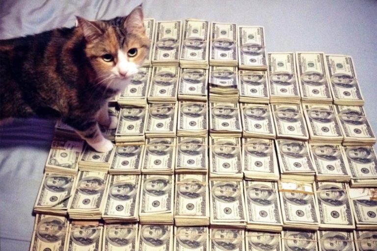 И ещё дешевле — курс валют в Молдове на пятницу, 27 октября