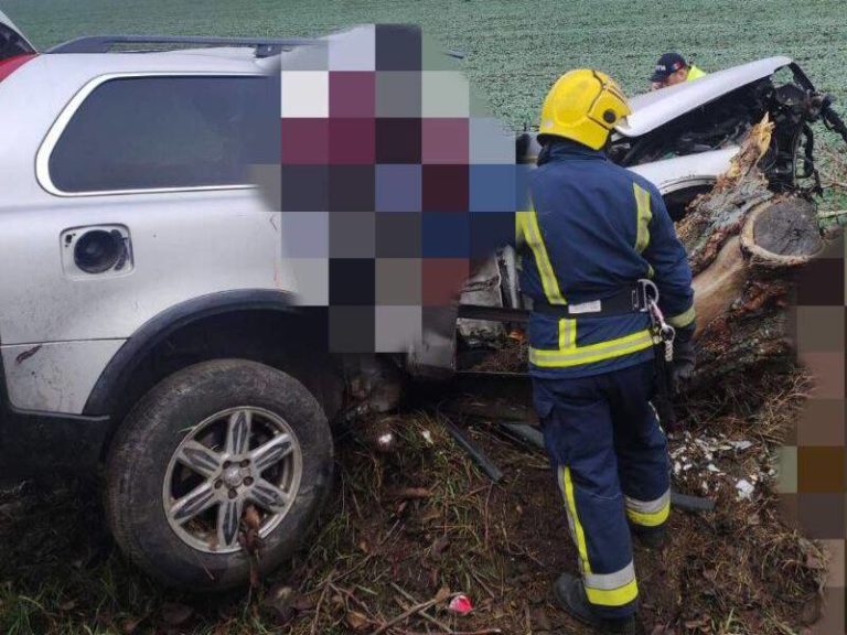 В Новоаненском районе внедорожник влетел в дерево — водитель и пассажиры погибли