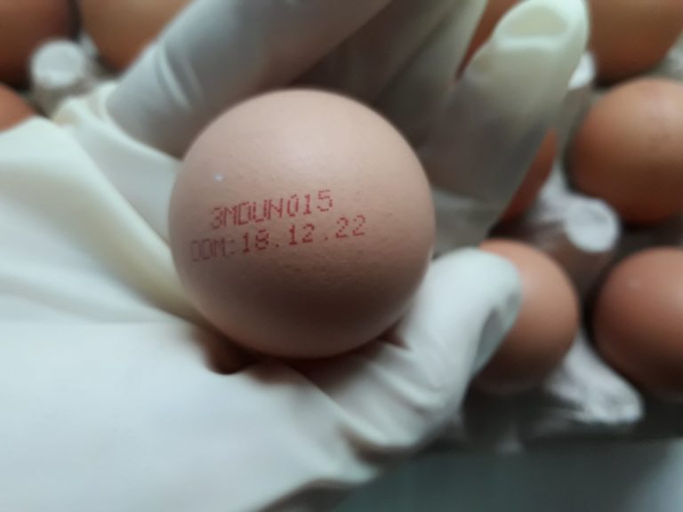 В Молдове изъяли из продажи партию яиц из-за сальмонеллы