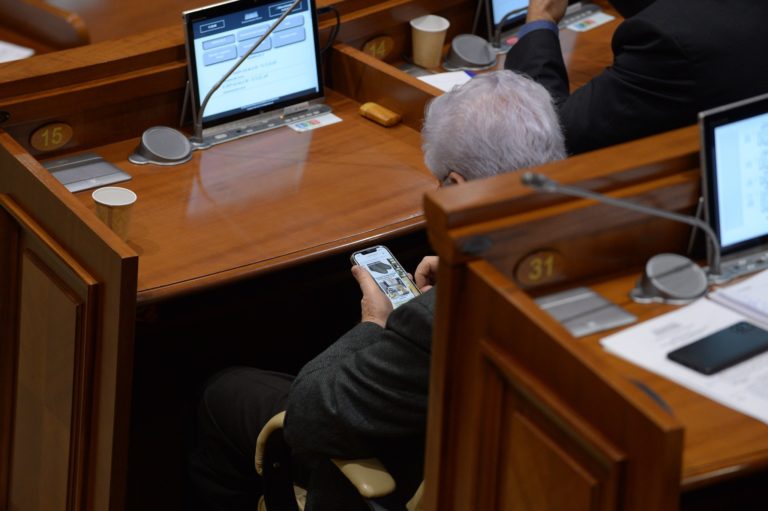 Воронина на заседании парламента сфотографировали за просмотром деликатного контента