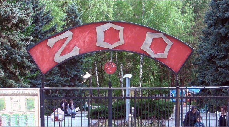 Чебан уволил директора кишиневского зоопарка. Тот намерен судиться