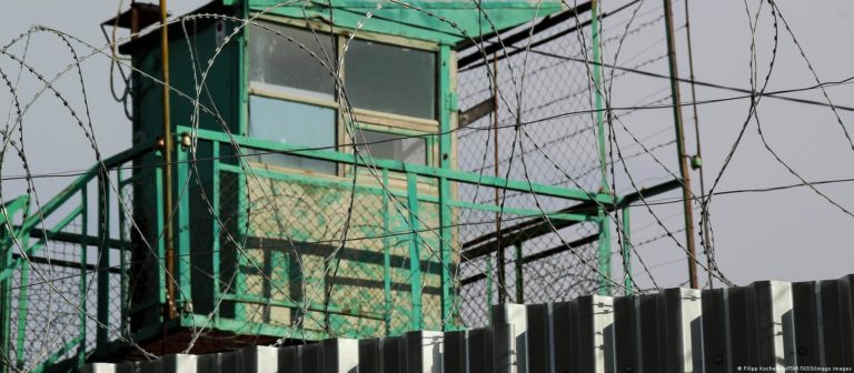 Пленных украинцев держат в концлагерях и пытают — правозащитник передал в ПАСЕ диск с доказательствами