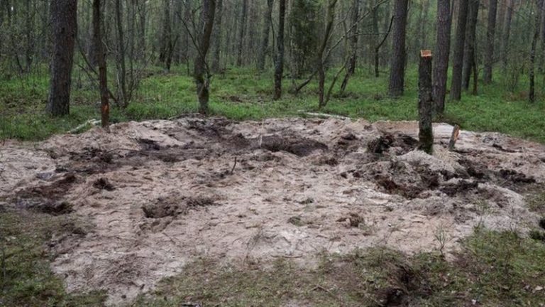 ВВС Польши: обломки ракеты, найденные в польском лесу, возможно, от российской Х-55