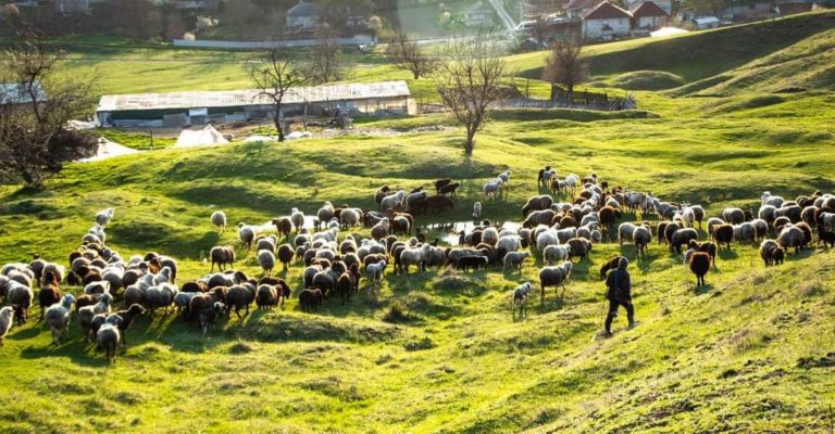 Без изменений и дождей — прогноз погоды в Молдове на 6 сентября