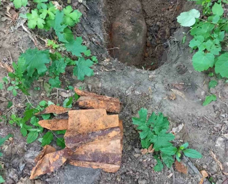 Авиабомбу времён Второй мировой войны обнаружили в заповеднике в Унгенах