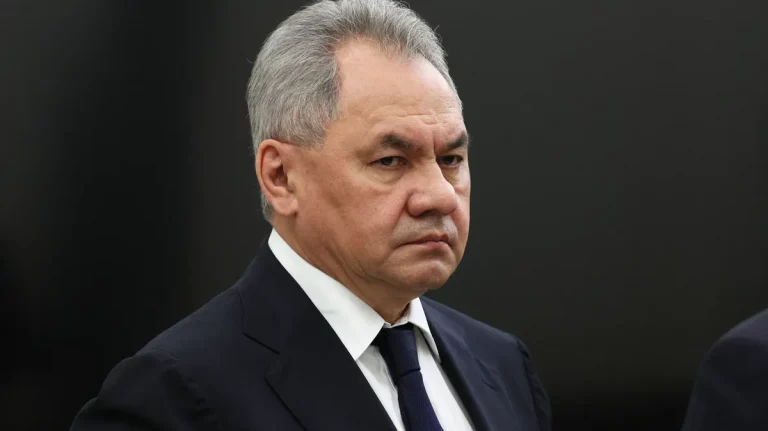 Секретарь Совета безопасности Российской Федерации Сергей Шойгу
