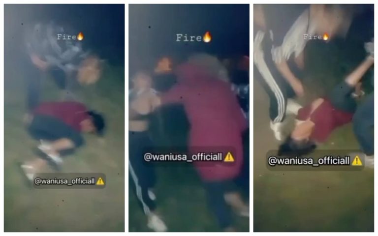 Ночью в парке на Ботанике две девушки на камеру избили третью и выложили в соцсети