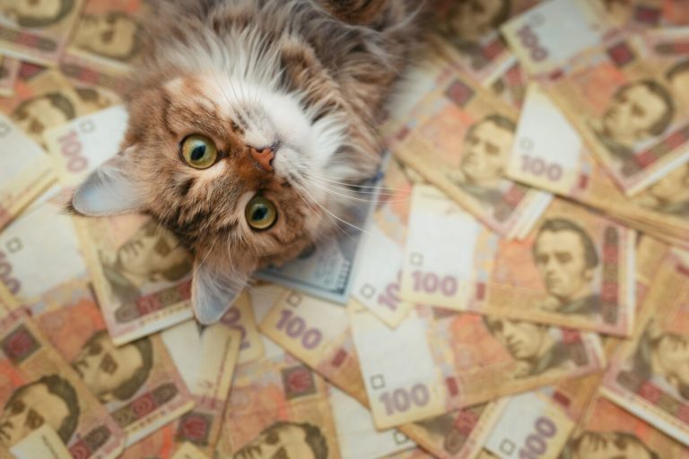 Слегка подорожало — курс валют на 1 сентября