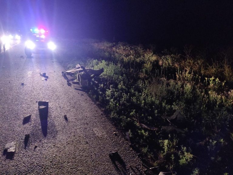 В Чимишлии машина врезалась в конную повозку — водитель погиб на месте