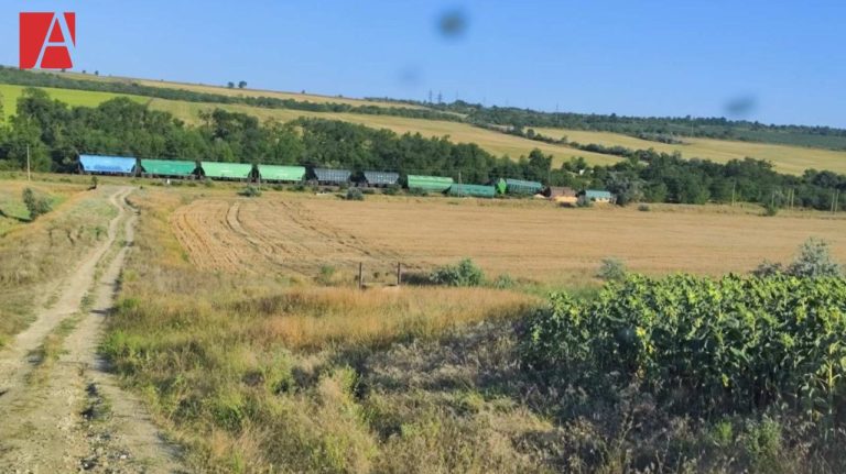 В Гагаузии шесть вагонов с зерном сошли с рельсов