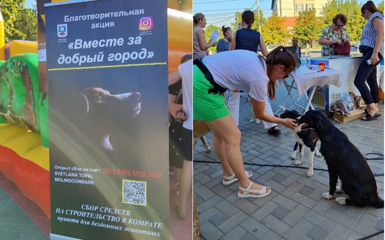 На акции в поддержку приюта для животных в Комрате собрали более 18 тысяч леев