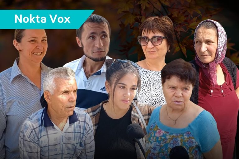 Nokta VOX: Начали ли готовиться к зиме жители Гагаузии?