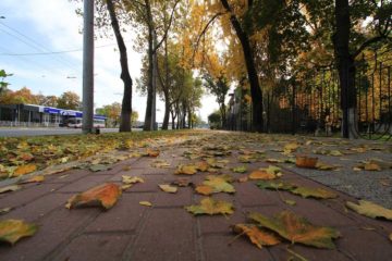 Осенний городской пейзаж