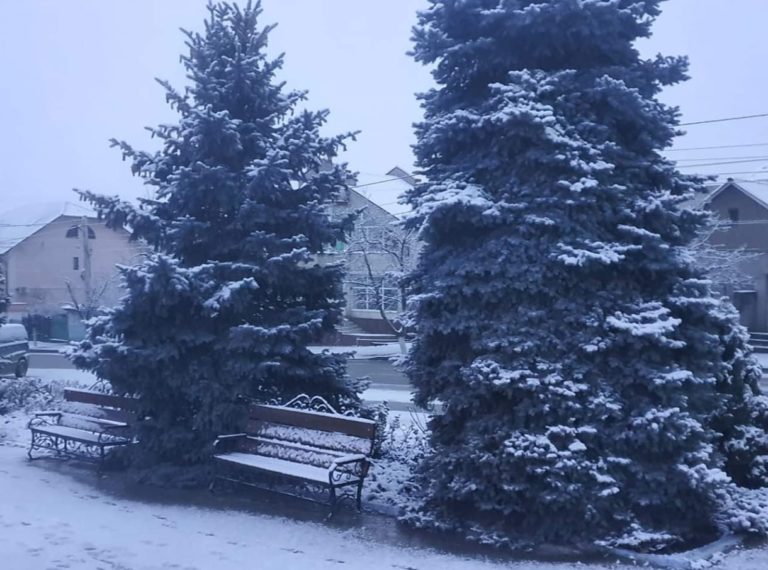 Все три города Гагаузии и десятки населённых пунктов по всей Молдове остались без света из-за снегопада