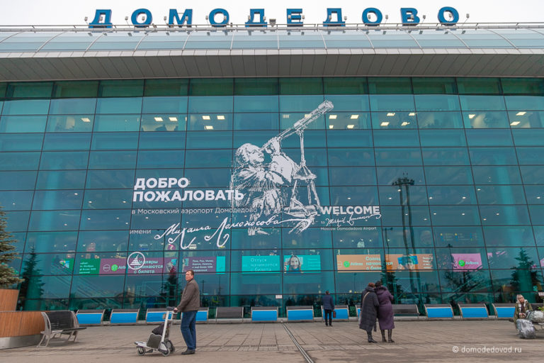 В России могут обязать иностранцев подписывать «соглашение о лояльности» при въезде в страну