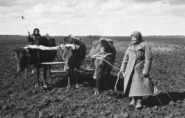 «Только невежда может не знать правду» – подписчица nokta о том, как ее родное село прошло голодомор 1946-47 годов