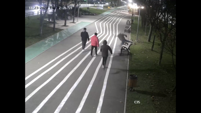 (ВИДЕО) В Кишинёве вандалы попали на камеру, когда переворачивали скамейки